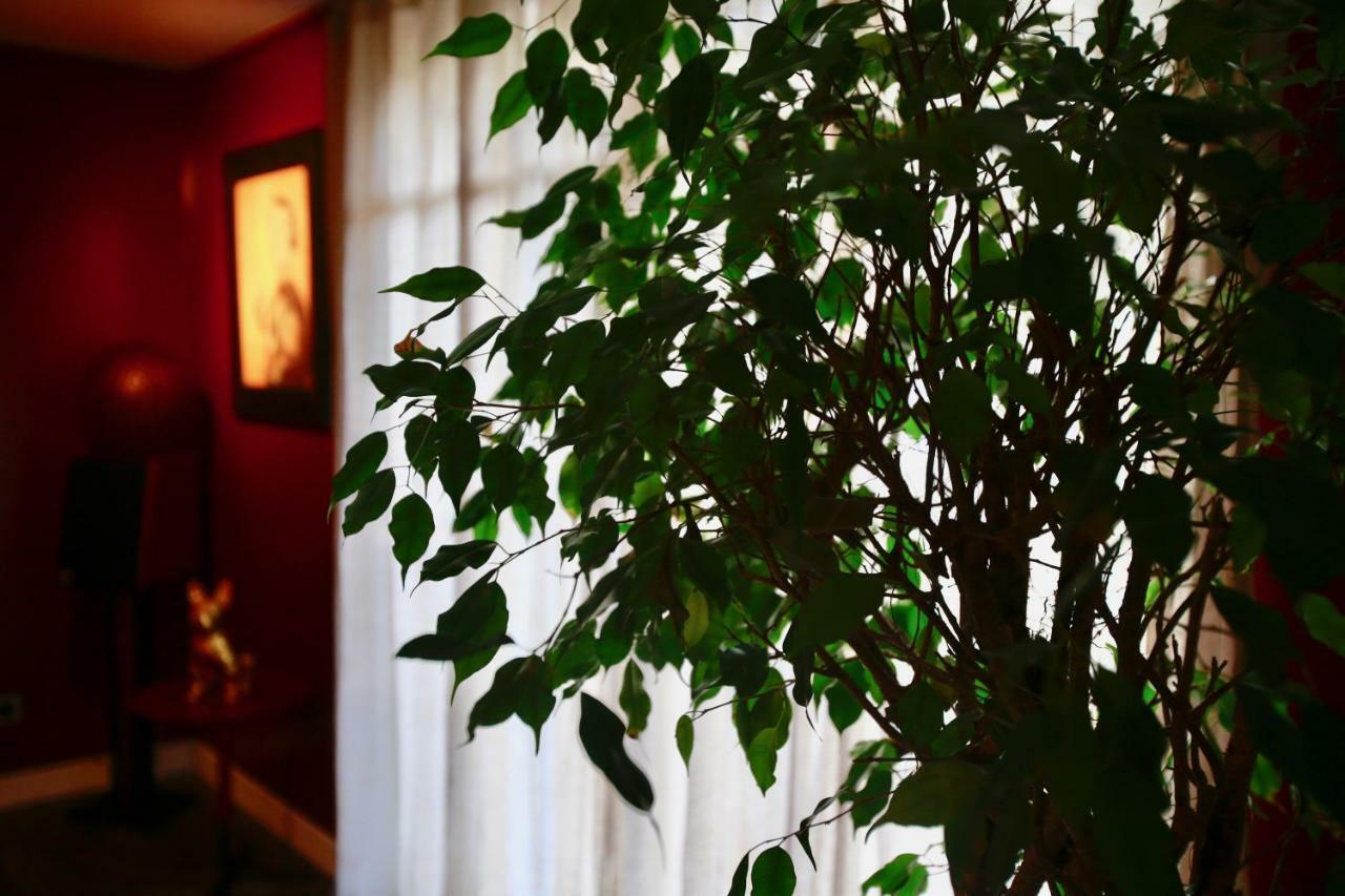 Le Talisman Bed & Breakfast Saint-Germain-en-Laye Dış mekan fotoğraf